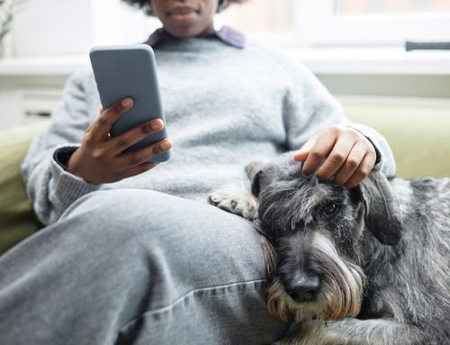 The Reality of Mental Health in Veterinary Medicine