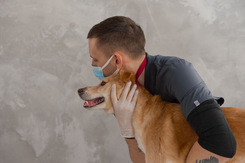 Veterinary technician in scrubs gently hugging a calm, happy dog.